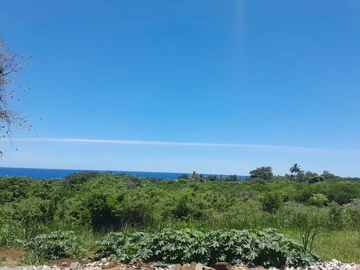 Commercial Land