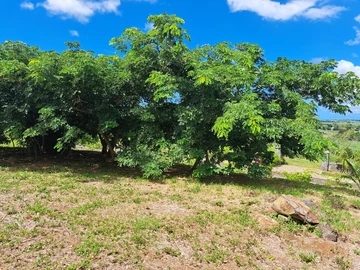 Residential Land