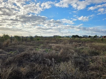 Residential Land