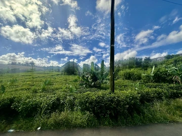 Terrain Résidentiel