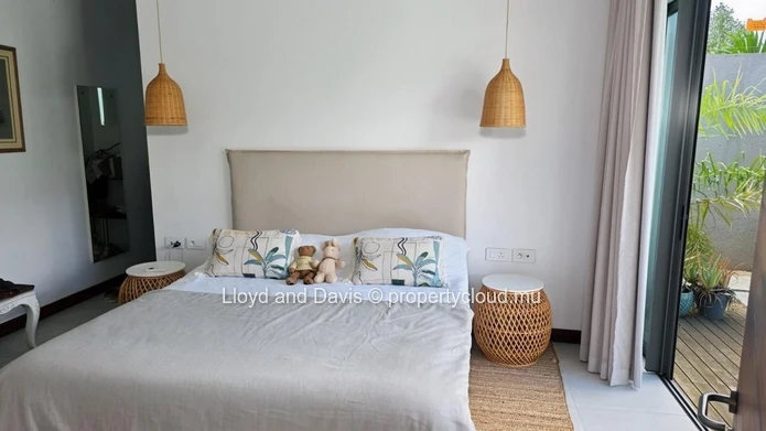 Contemporary Furnished House