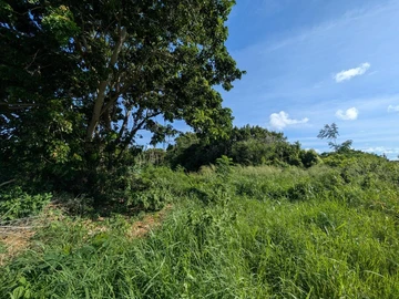 Residential Land