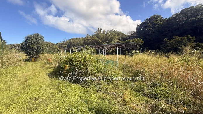 20,466sqm Prime Agricultural Land for Sale in L'Escalier - Rs