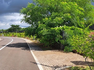 Residential Land