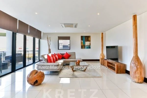 Luxury furnished apartment with rooftop pool