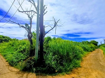 Residential Land