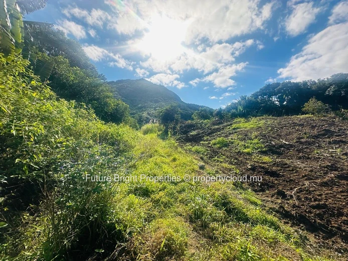 For Sale: Agricultural Land with Mountain Views!