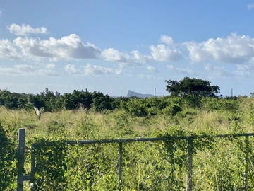 Agricultural Land