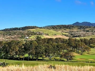 Agricultural Land