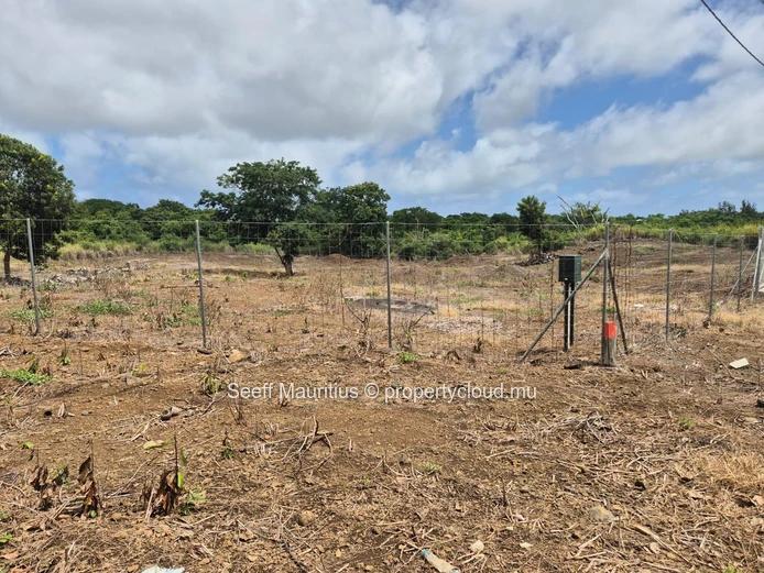À vendre — Grand terrain agricole à La Forêt d'Aruty