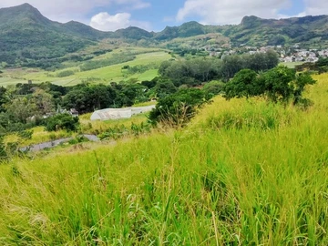 Residential Land