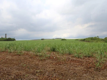 Agricultural Land