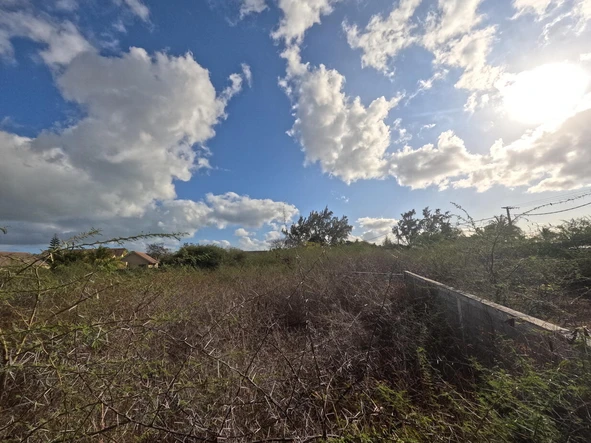 Residential Land