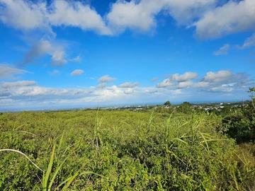 Agricultural Land