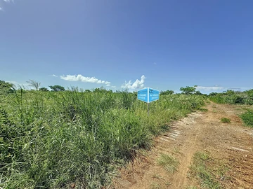 Land