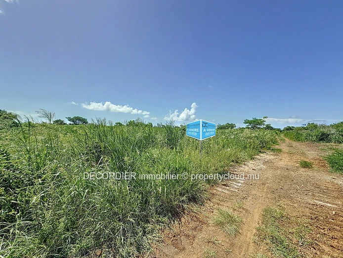 Terrain agricole en conversion résidentielle