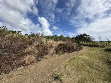 Residential Land