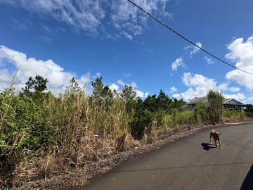 Residential Land