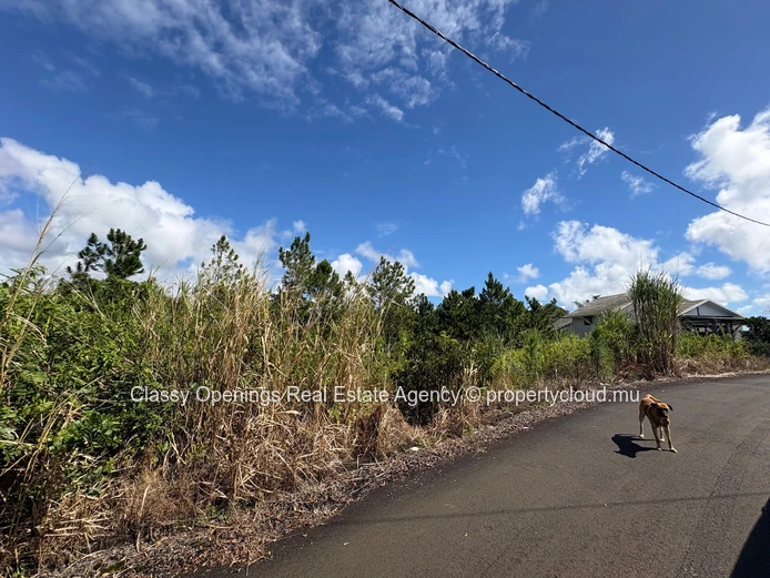 529 m² Hermitage Plot — Paved Road, Near Schools & Shops