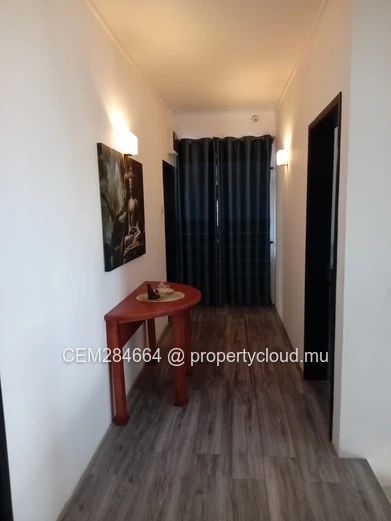 Exquisite Individual House for Rent in Albion