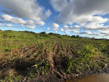 Agricultural Land