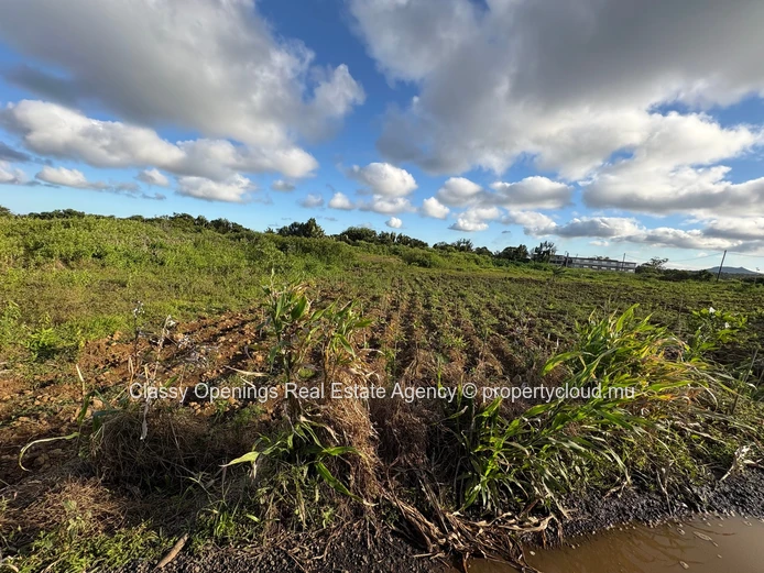 12,268 m² Cultivable Land with Mountain View & Greenhouses