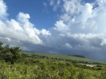 Agricultural Land