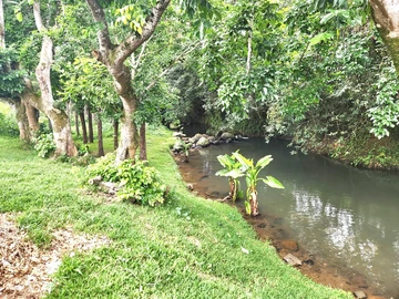 Residential Land