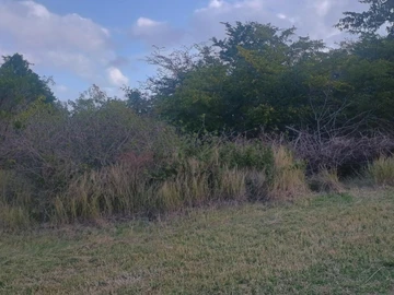 Residential Land