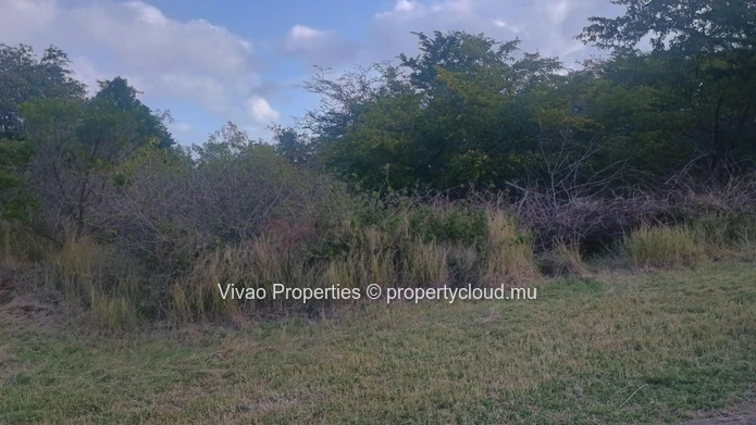 Rare residential land of one acre for sale within the Domaine de Palmyre in Petite Rivière Noire - Rs 35M.