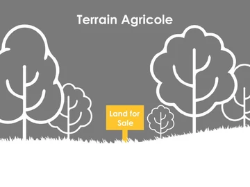 On sale big plot of agricultural land in Saint Antoine