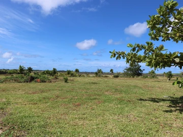 Residential Land