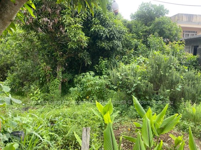 Terrain Résidentiel for Sale in Candos SAV243743