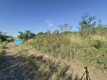 Land