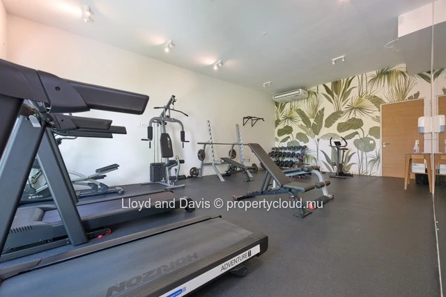 Furnished & Fully Equipped Apartment