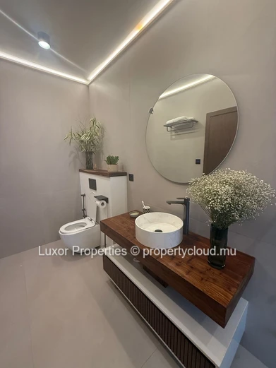 FOR SALE – Luxury Villas in Pointe aux Piments (PDS Project – Le Havre)