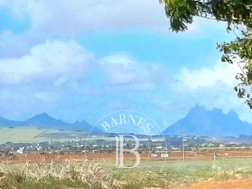 Agricultural Land
