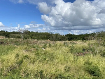 Terrain Agricole