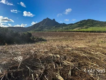 Terrain Agricole