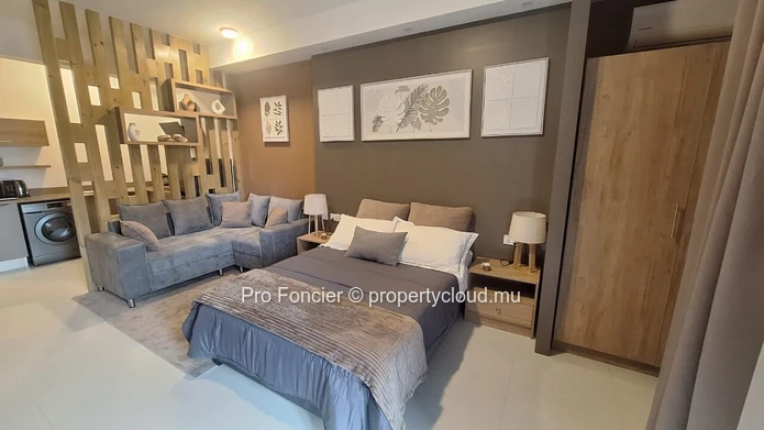 Studio neuf à louer à Tribecca – Moderne et idéalement situé