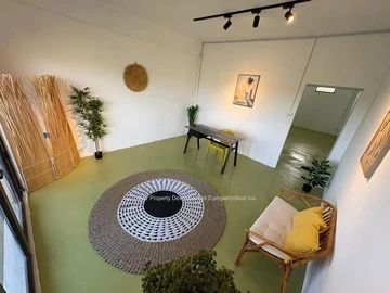 Immobilier Commerciaux
