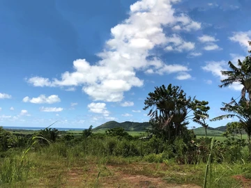 Terrain