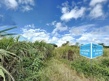 Land