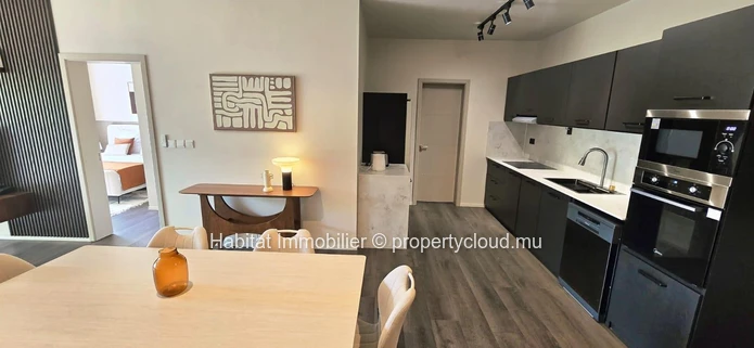 Appartement contemporain meublé et équipé de 104 m² à Helvétia