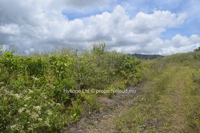 Terrain Agricole En Vente À Bois Chéri