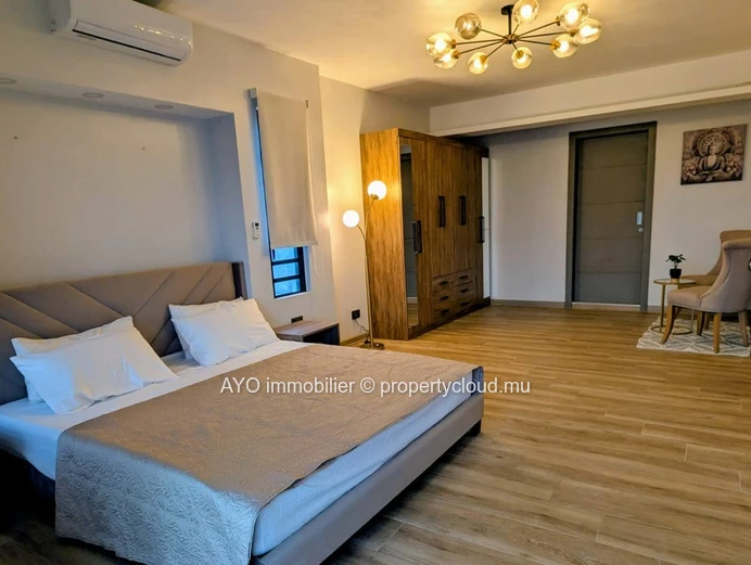 Newly built 4 bedroom house with pool in Pereybere