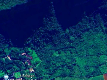 Terrain