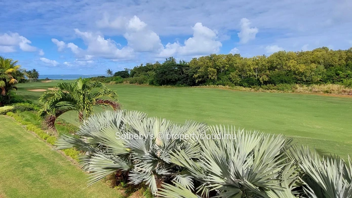 Golf Cove