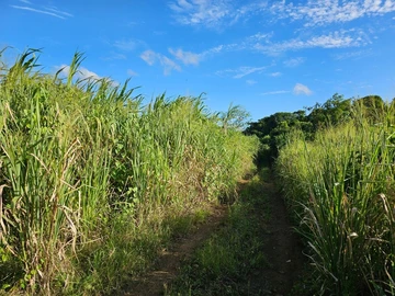 Terrain Agricole