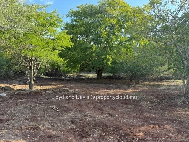 Residential Land